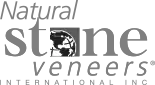NSVI Logo
